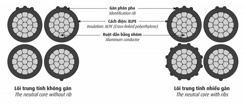 cau-truc-cap-cadivi-LV-ABC